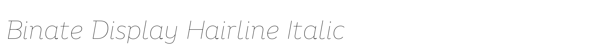 Binate Display Hairline Italic image